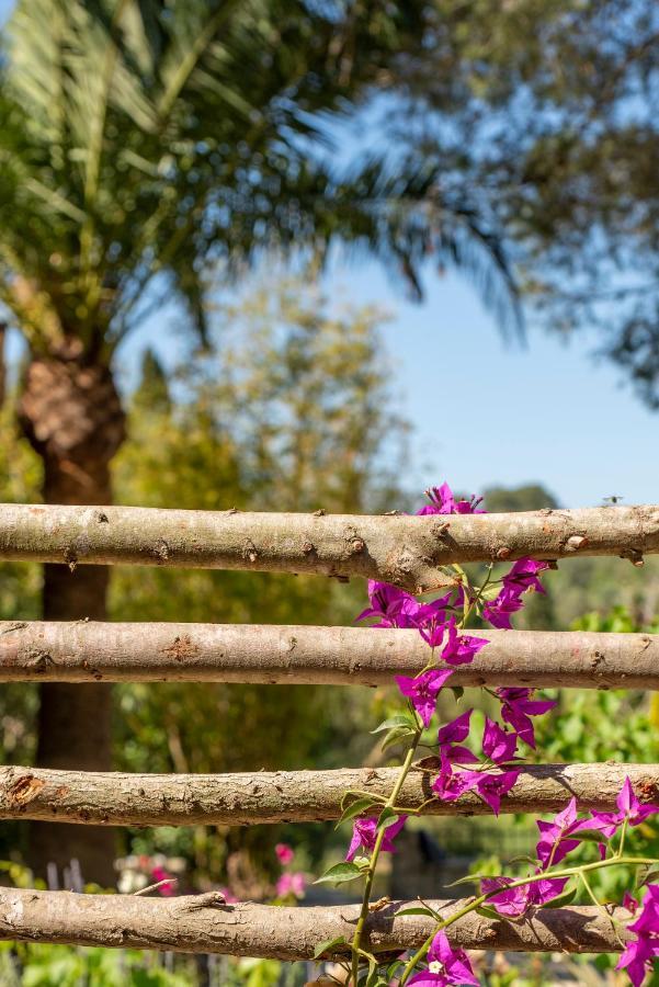 Hotel Agroturismo Son Foguero - Adults Only María de la Salud Exteriér fotografie